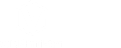 VNM Simulation logo